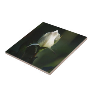 Carreau En Céramique Rosebud blanc