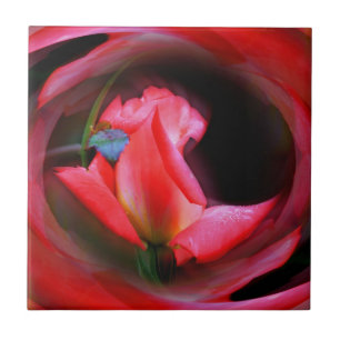 Carreau En Céramique Rosebud rose Art Abstrait