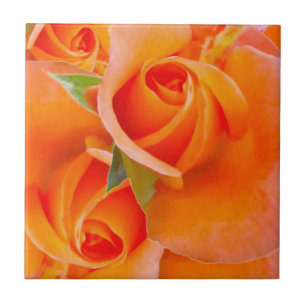 Carreau En Céramique Roses orange par Alexandra Cook