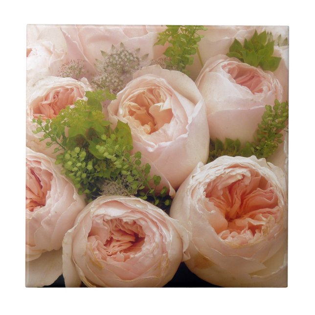 Carreau En Céramique Roses roses précieuses (Devant)