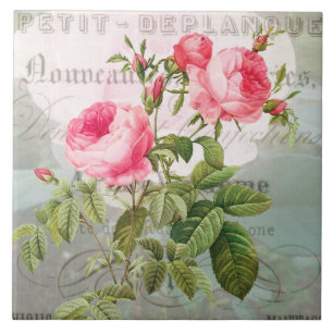 Carreau en céramique Roses roses Redoute