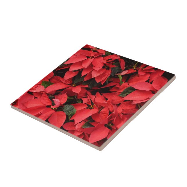 Carreau En Céramique Rouge Poinsettias II Noël Fête Florale (Côté)