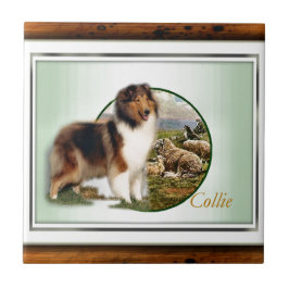 Carreau En Céramique Rough Collie Keeper of the Sheep