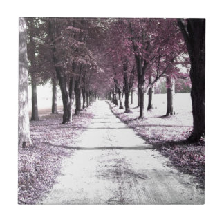 Carreau En Céramique route rose de Forrest Gump