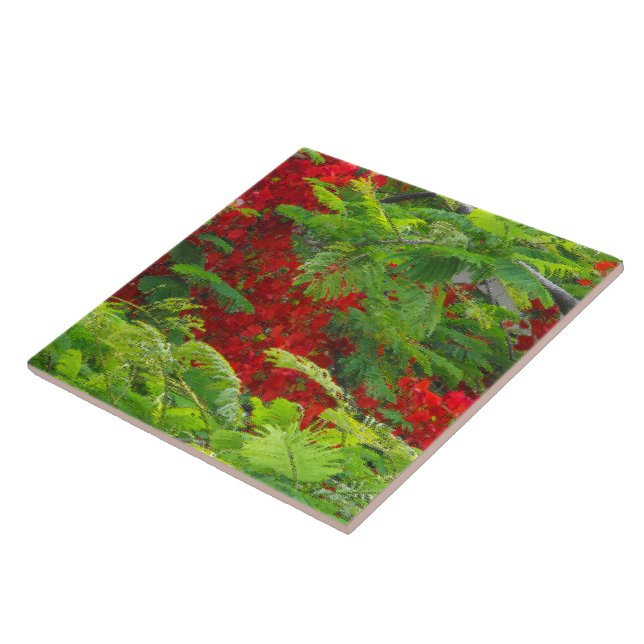 Carreau En Céramique Royal Poinciana (Côté)