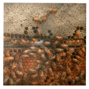 Carreau En Céramique Rucher - Abeilles - Douce réussite
