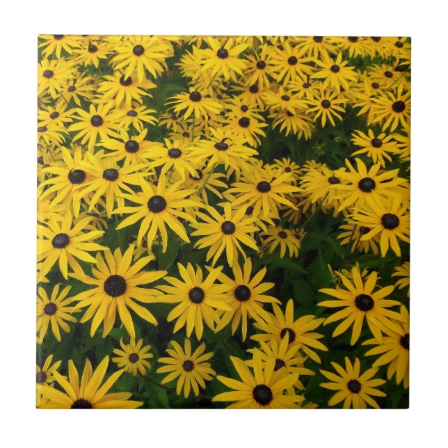 Carreau En Céramique Rudbeckia Hirta (Susans aux yeux noirs) (Devant)