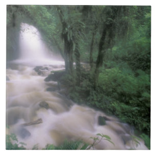 Carreau En Céramique SA, Pérou, S.H. Machu Picchu, Cascade et nuage