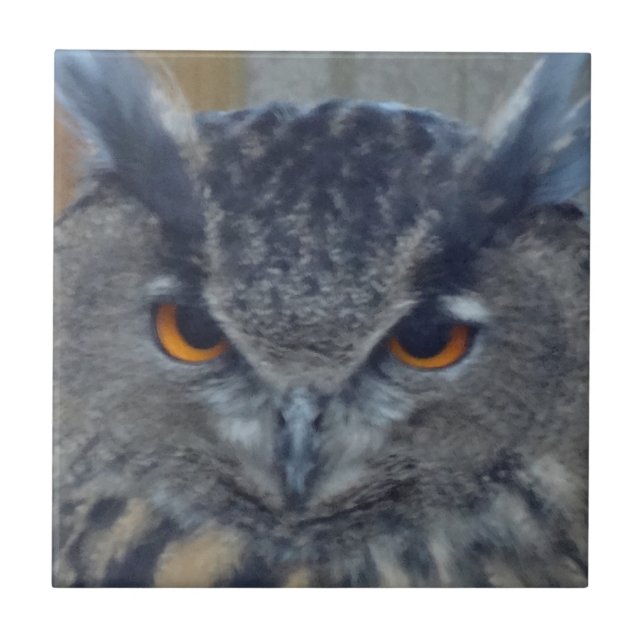 Carreau En Céramique Sage (Devant)