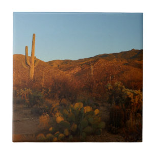Carreau En Céramique Saguaro Sunset I Arizona Désert Paysage