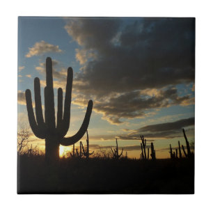 Carreau En Céramique Saguaro Sunset II Arizona