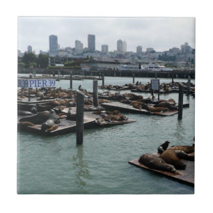 Carreau En Céramique San Francisco et Pier 39 Sea Lions City Skyline