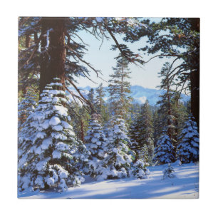 Carreau En Céramique Sapins rouges enneigés dans la High Sierra 2