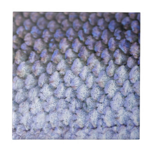 Carreau En Céramique Saumon chatoyant