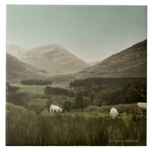 Carreau En Céramique Scène irlandaise de montagne
