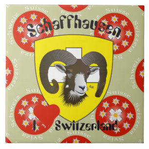 Carreau En Céramique Schaffhouse - Suisse - Suisse - Svizzera Fliese