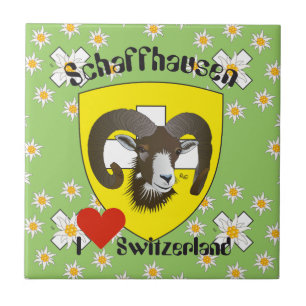 Carreau En Céramique Schaffhouse - Suisse - Suisse - Svizzera Fliese