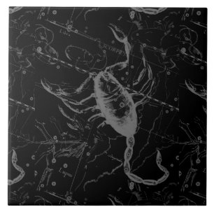 Carreau En Céramique Scorpio Constellation Hevelius 1690 Vintage Noir