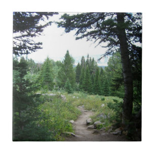 Carreau En Céramique Sentier Grand Teton