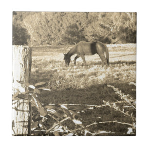 Carreau En Céramique Sepia ton cheval Brown et clôture