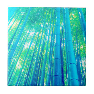 Carreau En Céramique Série en bambou de forêt