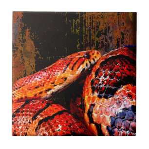 Carreau En Céramique Serpent de maïs grunge lové