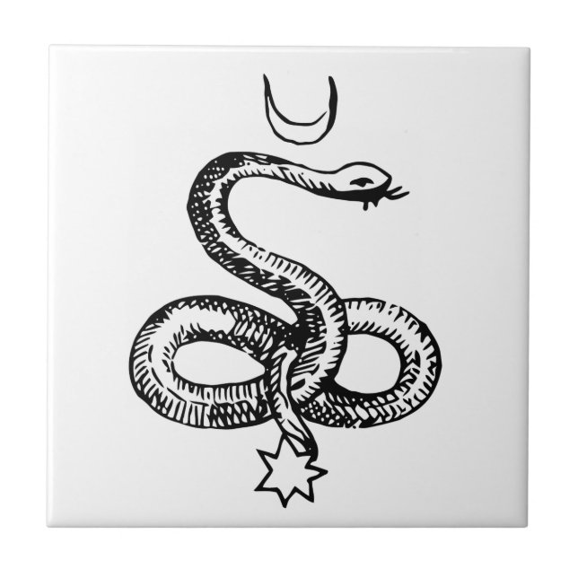 Carreau En Céramique Serpent - Symboles païens (Devant)