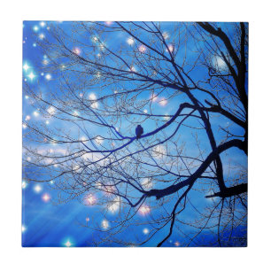 Carreau En Céramique Seul Avec Les Étoiles
