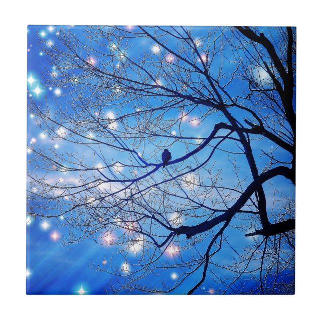 Carreau En Céramique Seul Avec Les Étoiles (Devant)