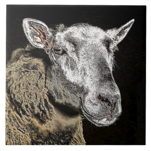 CARREAU EN CÉRAMIQUE SHEEP