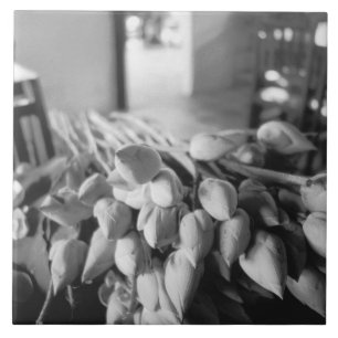 Carreau En Céramique Siem Reap Cambodge, Fleurs de Lotus