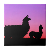 Silhouette de lama et de cria