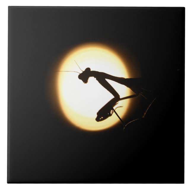 Carreau En Céramique Silhouette de mante de prière (Devant)