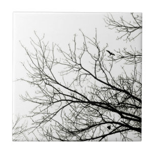 Carreau En Céramique Silhouettes d'arbre - tuile