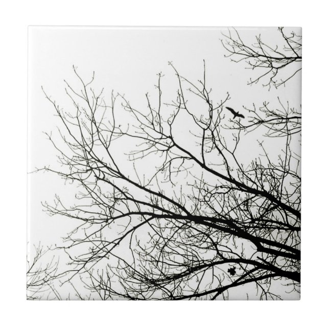 Carreau En Céramique Silhouettes d'arbre - tuile (Devant)