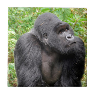 Carreau En Céramique Singe heureux