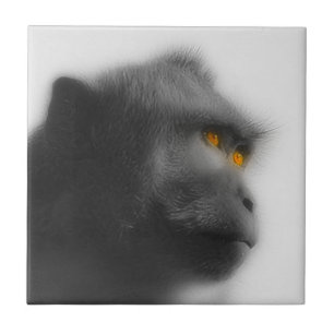 Carreau En Céramique Singe songeur