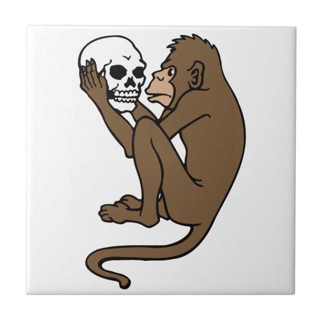 Carreau En Céramique Singe tenant un crâne (Devant)