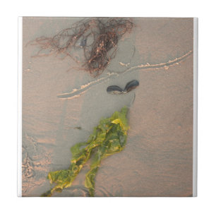 Carreau En Céramique Sirène