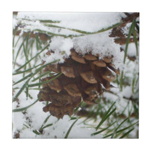Carreau En Céramique Snowy Pine Cone I