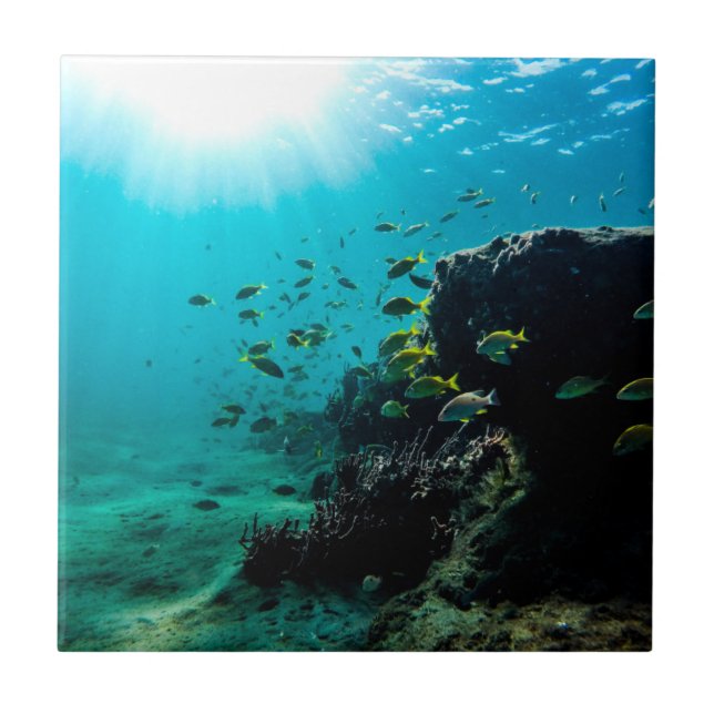 Carreau En Céramique Soleil et poissons tropicaux (Devant)