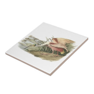 Carreau En Céramique Spatule rose par Audubon