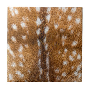 Carreau En Céramique Spotted deer pour texture