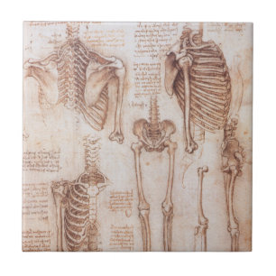 Carreau En Céramique Squelette de l'anatomie humaine de Léonard de Vinc
