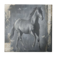 Stallion noir