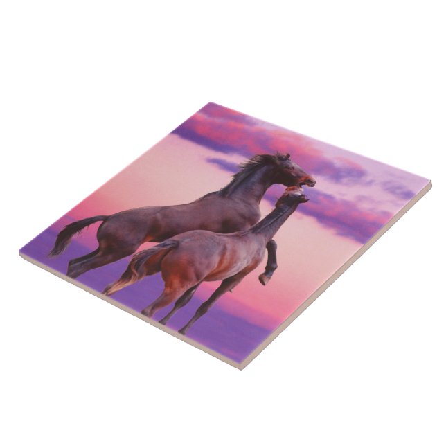 Carreau En Céramique Stallions Jouer Carrelage (Côté)