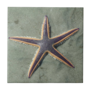 Carreau En Céramique Starfish Purple étoile de mer sur la plage