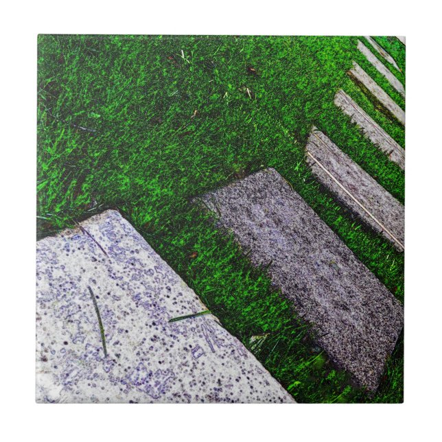 Carreau En Céramique Stepping Stones par Shirley Taylor (Devant)