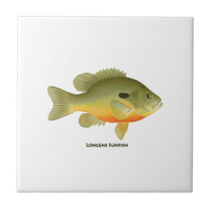 Carreau En Céramique Sunfish de Longear