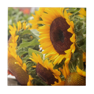 Carreau En Céramique Sunflowers !